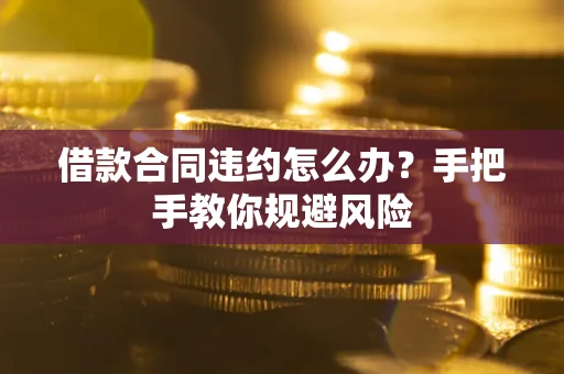 武汉借款合同违约怎么办？手把手教你规避风险