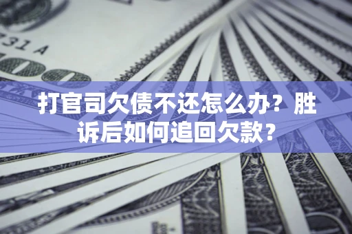 武汉打官司欠债不还怎么办？胜诉后如何追回欠款？