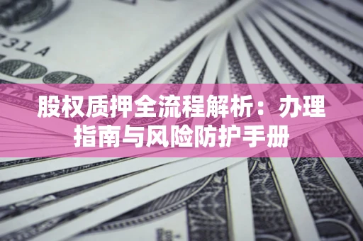武汉股权质押全流程解析：办理指南与风险防护手册
