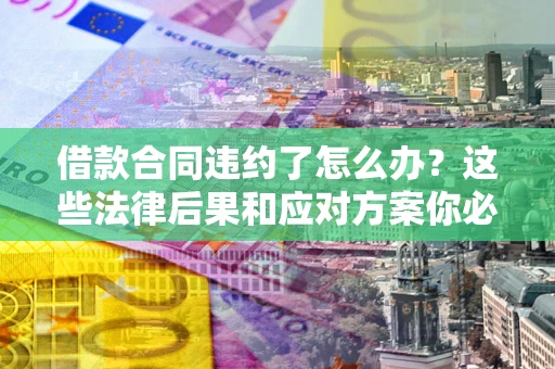 武汉借款合同违约了怎么办？这些法律后果和应对方案你必须知道