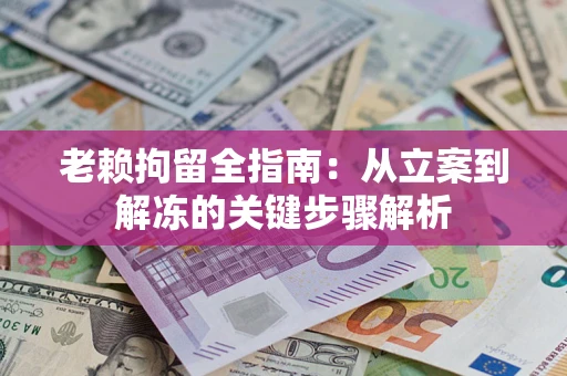 武汉老赖拘留全指南：从立案到解冻的关键步骤解析