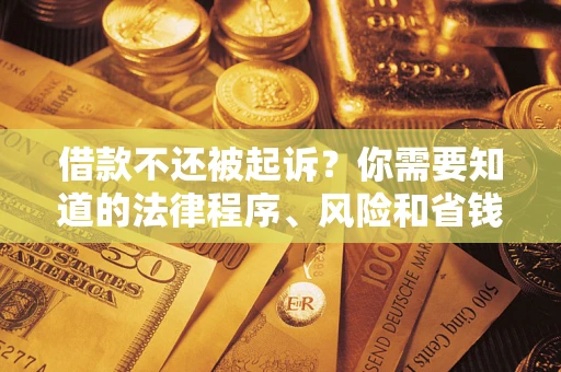 武汉借款不还被起诉？你需要知道的法律程序、风险和省钱技巧
